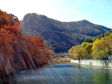 新澳天天开奖资料大全旅游团，抽水控制器